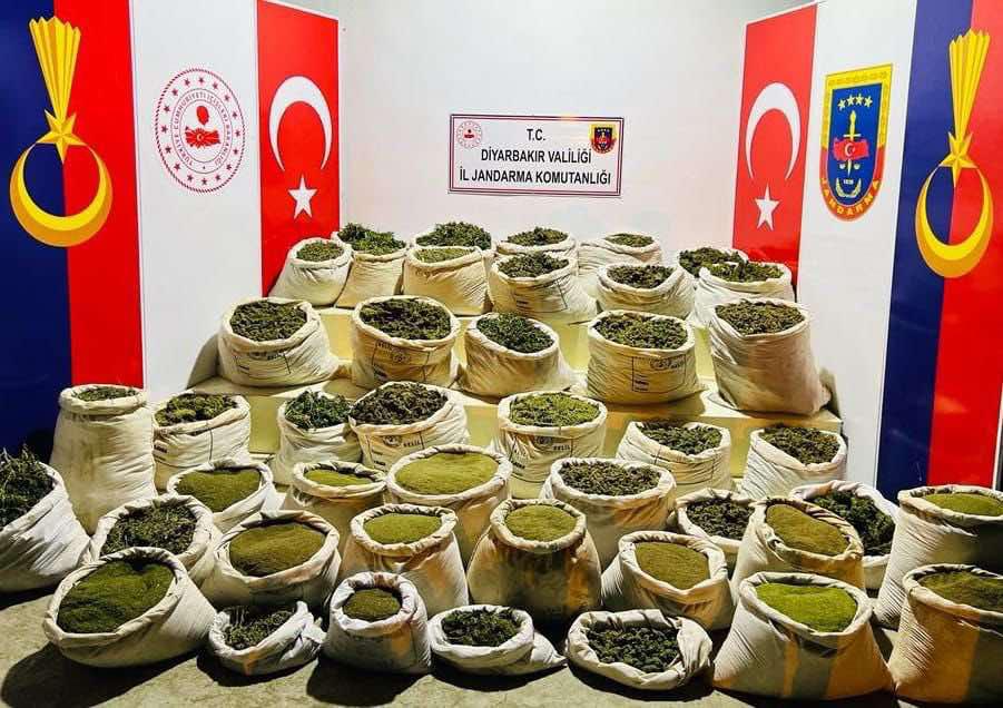 Soylu açıkladı: Diyarbakır’da 8 milyon 849 bin kök kenevir maddesi ele geçirildi