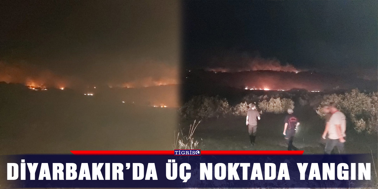 Diyarbakır’da üç noktada yangın