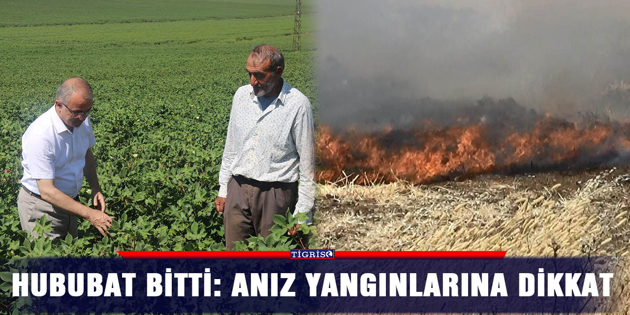 VİDEO -  Hububat bitti: Anız yangınlarına dikkat