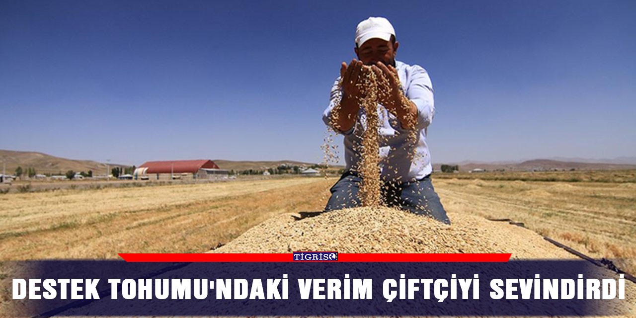 Destek tohumu'ndaki verim çiftçiyi sevindirdi