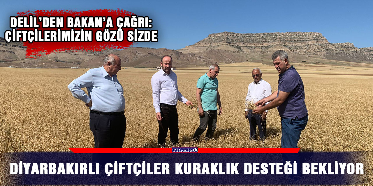 Diyarbakırlı çiftçiler kuraklık desteği bekliyor