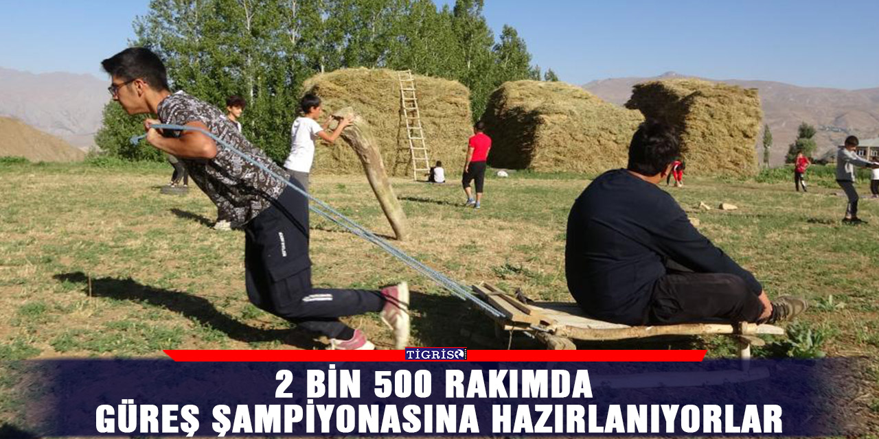 2 bin 500 rakımda Güreş şampiyonasına hazırlanıyorlar