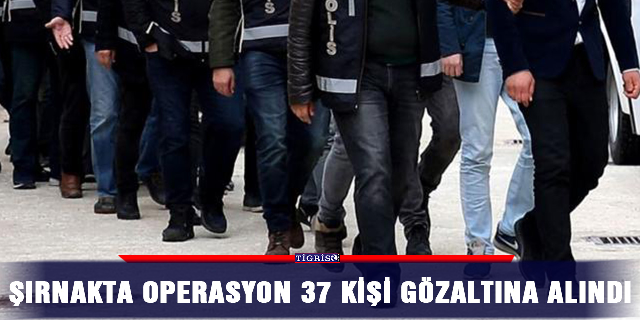 Şırnakta operasyon 37 kişi gözaltına alındı