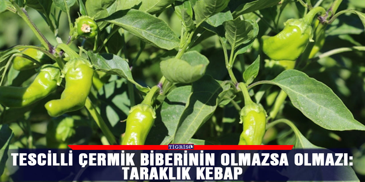 Tescilli Çermik biberinin olmazsa olmazı: Taraklık kebap
