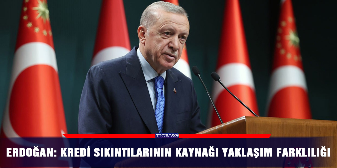 Erdoğan: Kredi sıkıntılarının kaynağı yaklaşım farklılığı