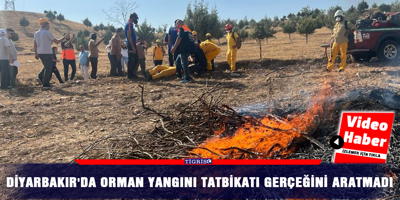 VİDEO - Diyarbakır'da orman yangını tatbikatı gerçeğini aratmadı
