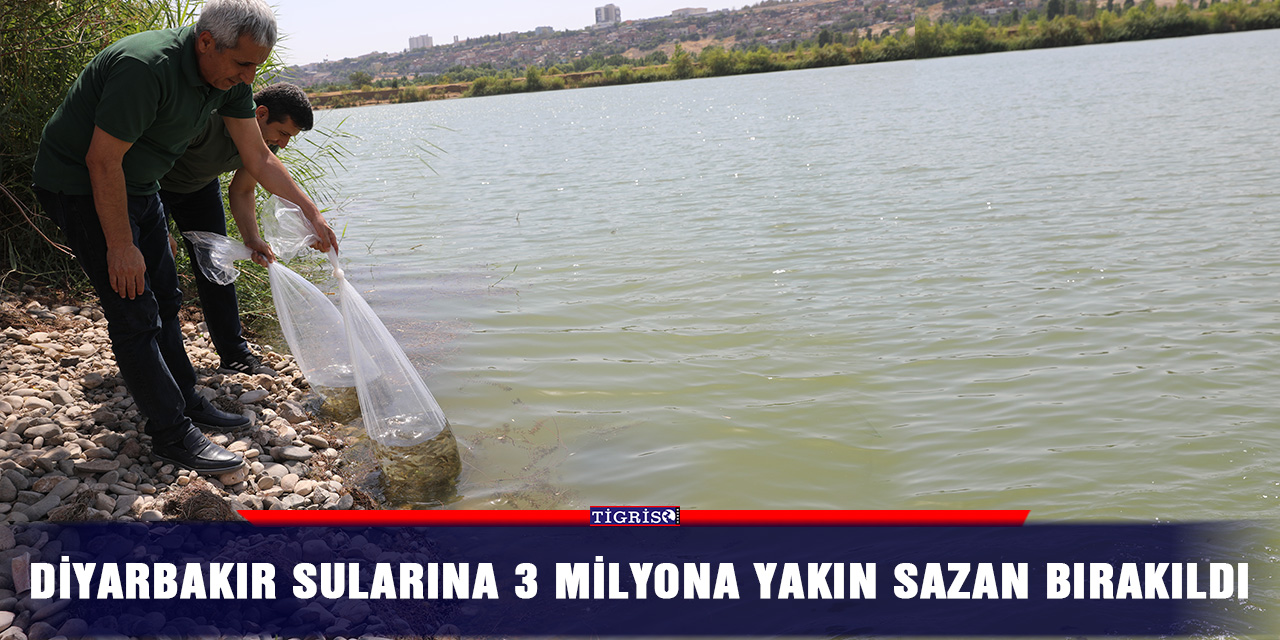 Diyarbakır sularına 3 milyona yakın sazan bırakıldı