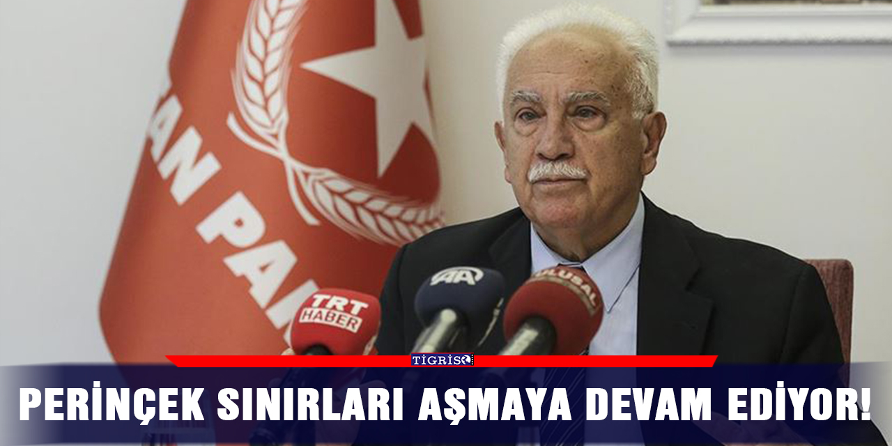 VİDEO - Perinçek sınırları aşmaya devam ediyor!