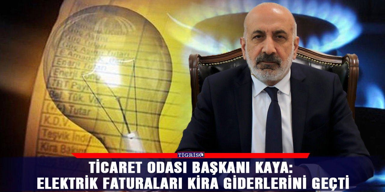 Ticaret Odası Başkanı Kaya: Elektrik faturaları kira giderlerini geçti