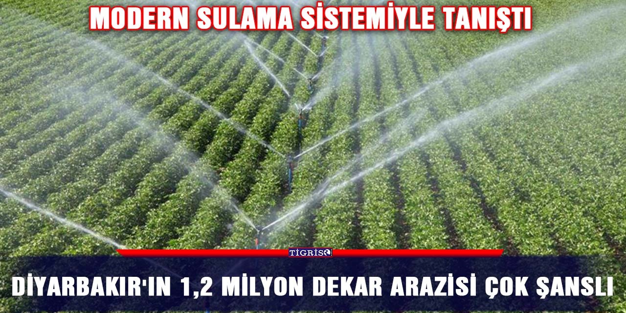 Diyarbakır'ın 1,2 milyon dekar arazisi çok şanslı