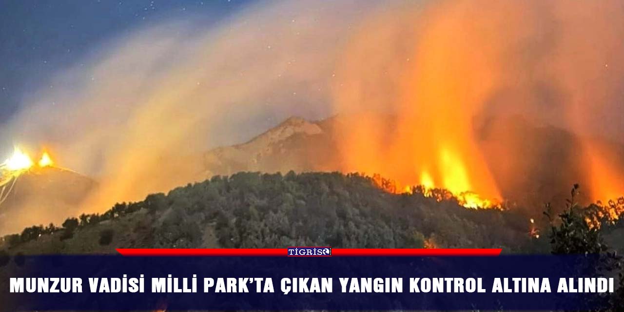 Munzur Vadisi Milli Park’ta çıkan yangın kontrol altına alındı