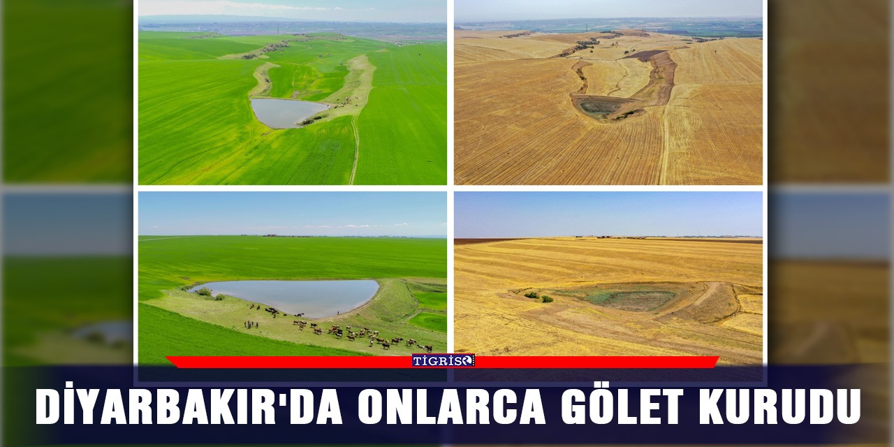 Diyarbakır'da onlarca gölet kurudu