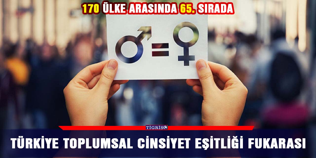 Türkiye toplumsal cinsiyet eşitliği fukarası
