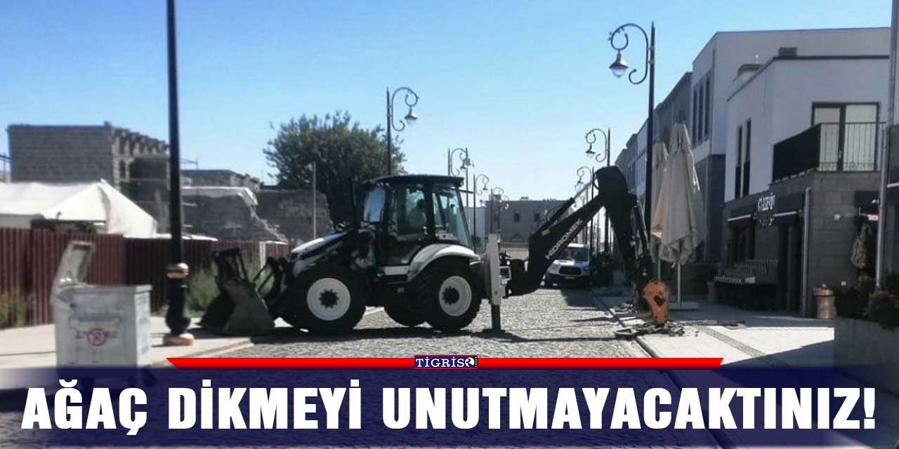 Ağaç dikmeyi unutmayacaktınız!