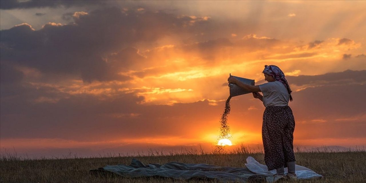 Kadınlar rüzgara karşı "tahıl savurma" mesaisinde
