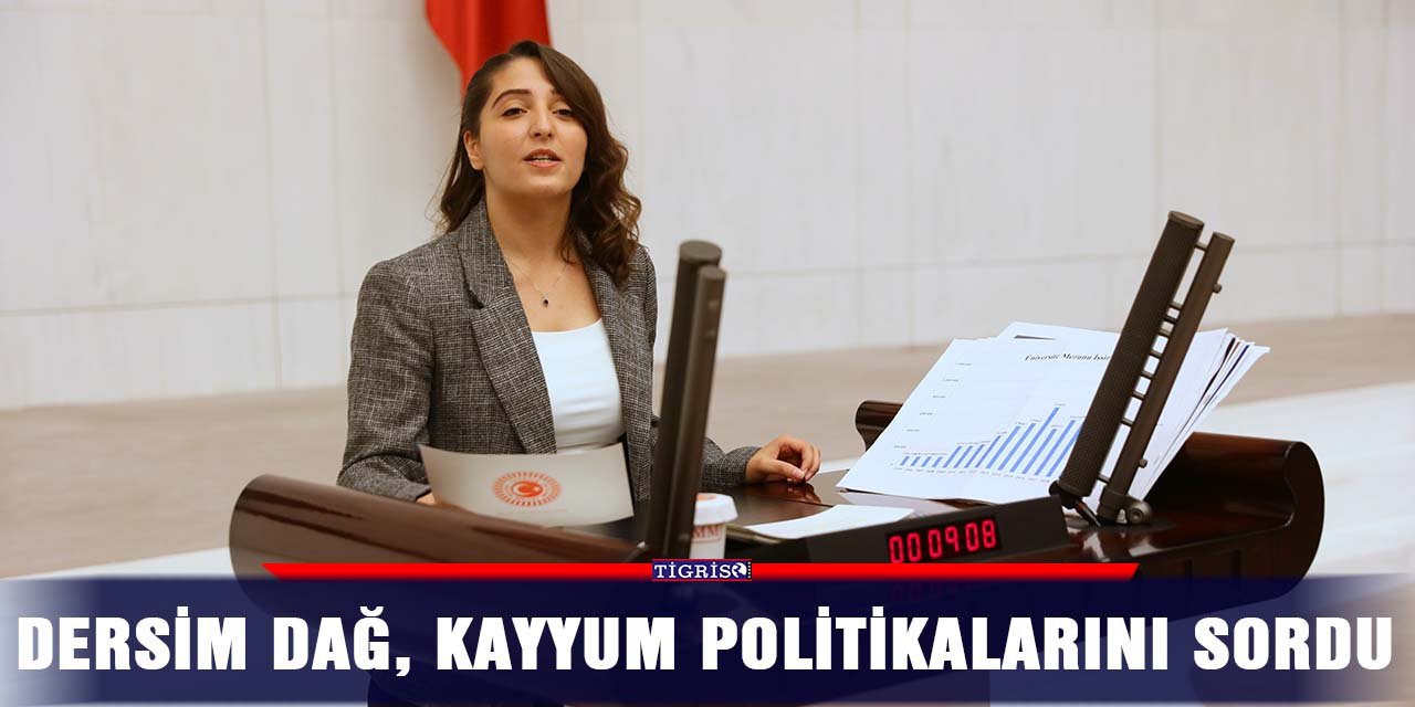 Dersim Dağ, kayyum politikalarını sordu