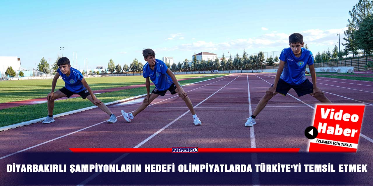 VİDEO - Diyarbakırlı şampiyonların hedefi olimpiyatlarda Türkiye'yi temsil etmek
