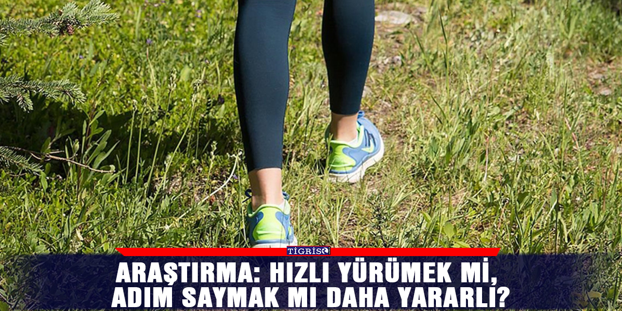 Araştırma: Hızlı yürümek mi, adım saymak mı daha yararlı?