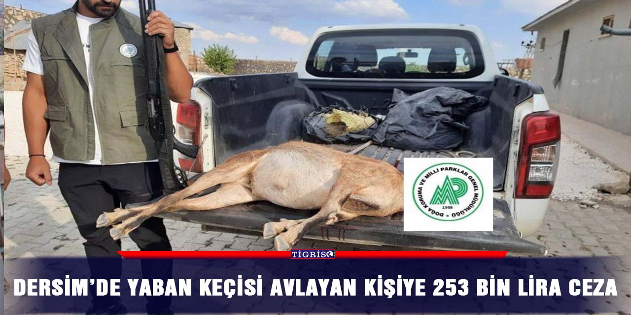 Dersim’de yaban keçisi avlayan kişiye 253 bin lira ceza