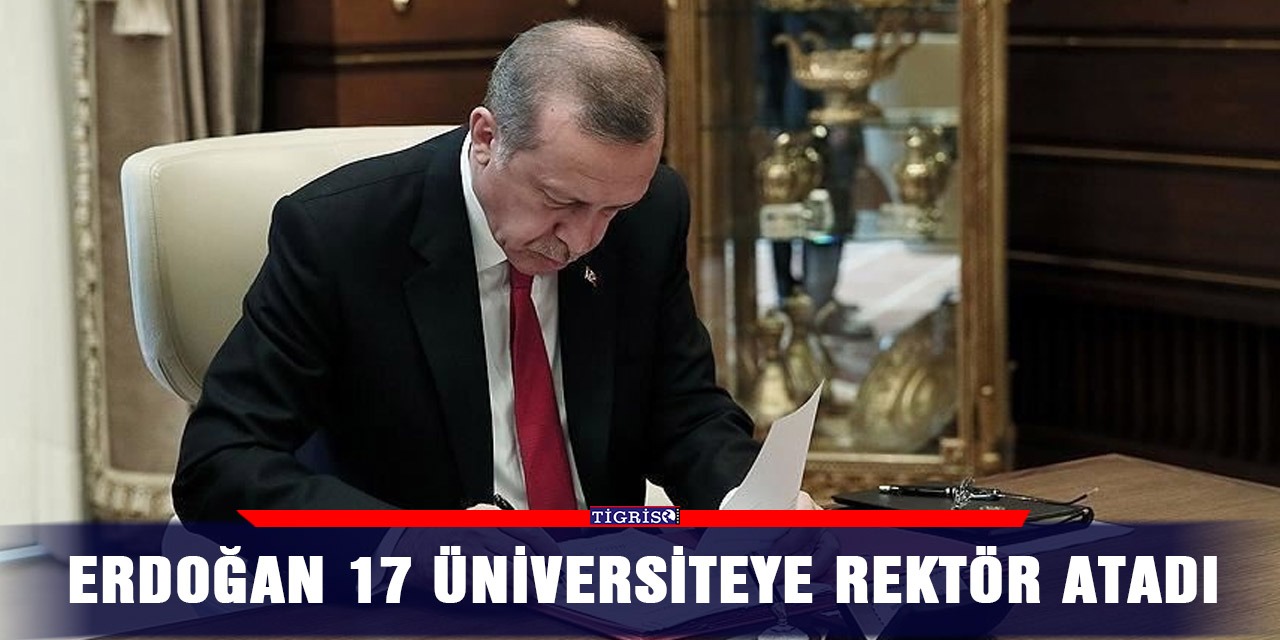 Erdoğan 17 üniversiteye rektör atadı