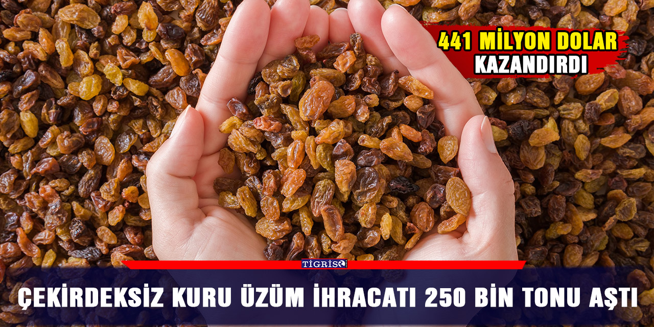 Çekirdeksiz kuru üzüm ihracatı 250 bin tonu aştı