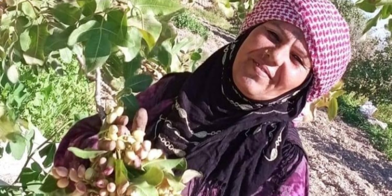 Fıstık bahçesinde otomobilin çarptığı kadın hayatını kaybetti