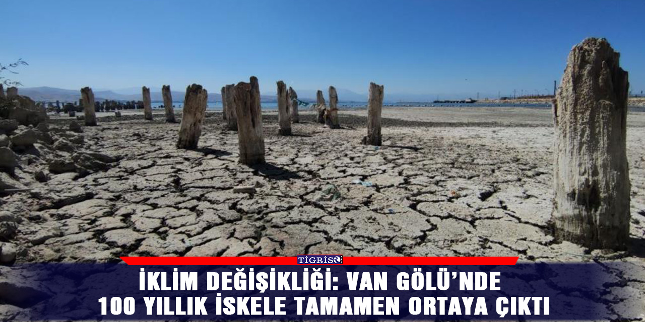 İklim değişikliği: Van Gölü’nde 100 yıllık iskele tamamen ortaya çıktı