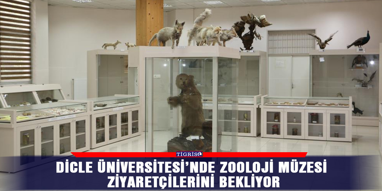 Dicle Üniversitesi’nde Zooloji Müzesi ziyaretçilerini bekliyor