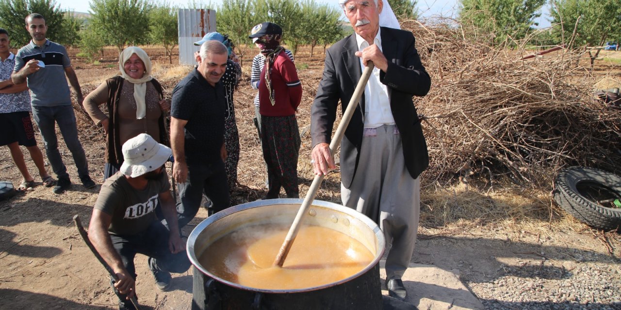 Hilvan’da bağ bozumu ve şire festivali