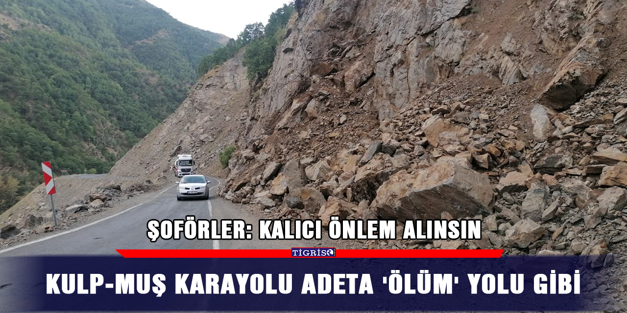 Kulp-Muş karayolu adeta 'ölüm' yolu gibi