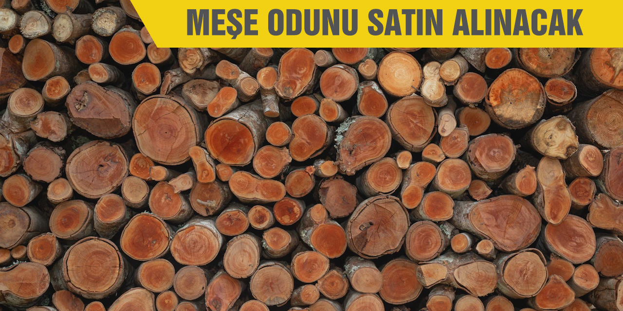 Meşe odunu satın alınacak