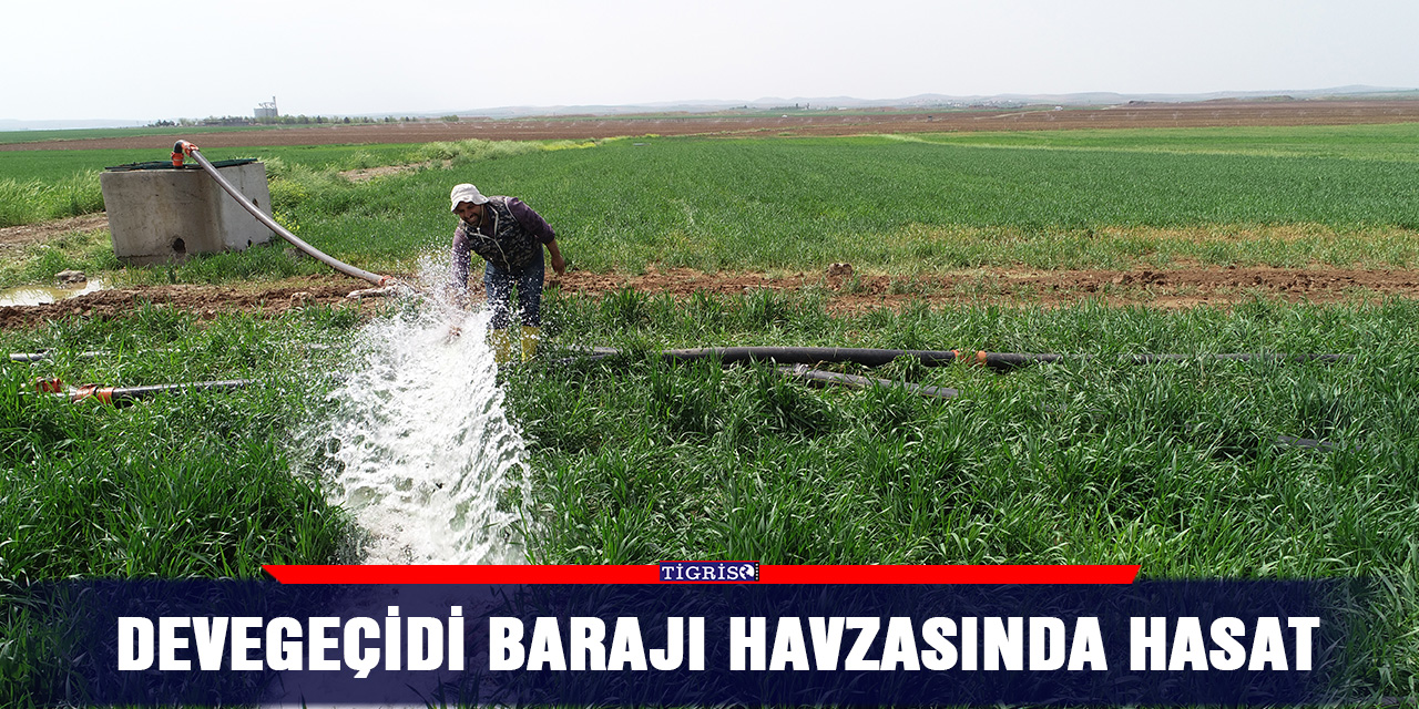Devegeçidi Barajı havzasında hasat