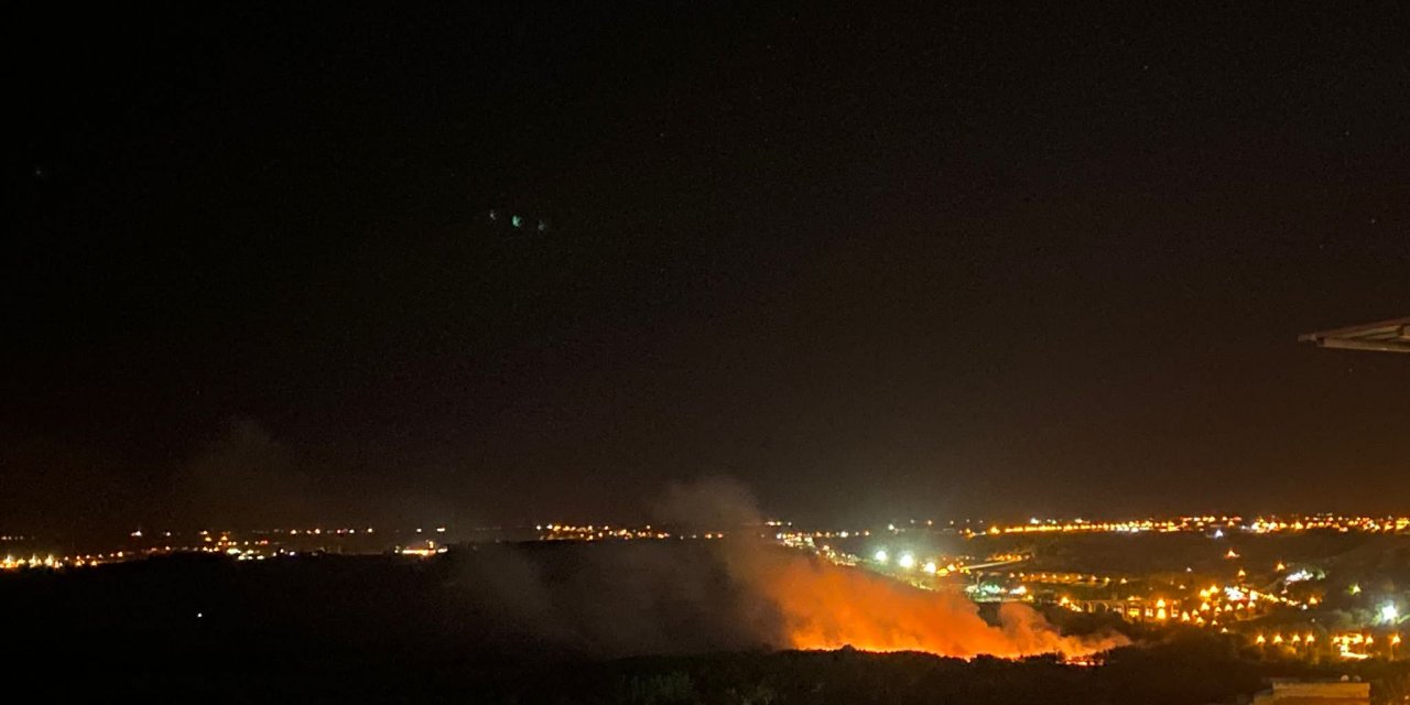 VİDEO - Tarihi Hevsel Bahçelerinde yangın!