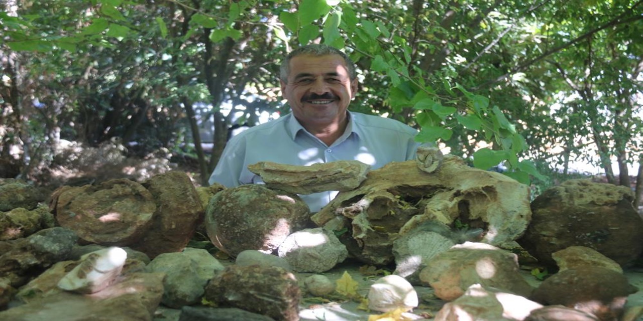 Diyarbakırlı Akdemir, 350 milyon yıllık fosilleri evinde sergiliyor