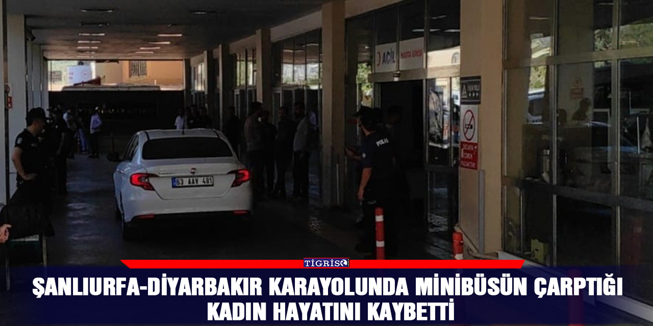 Şanlıurfa-Diyarbakır karayolunda minibüsün çarptığı kadın hayatını kaybetti
