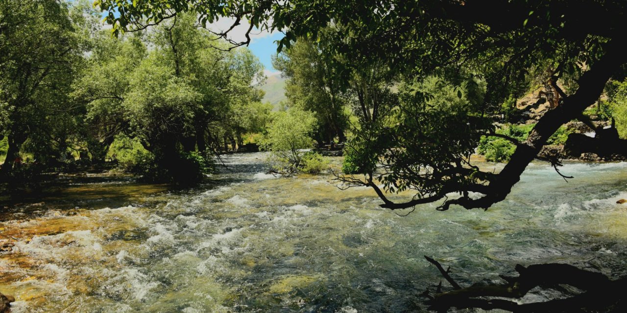 Dersim'de sportif amaçlı alabalık avcılığı yasaklandı