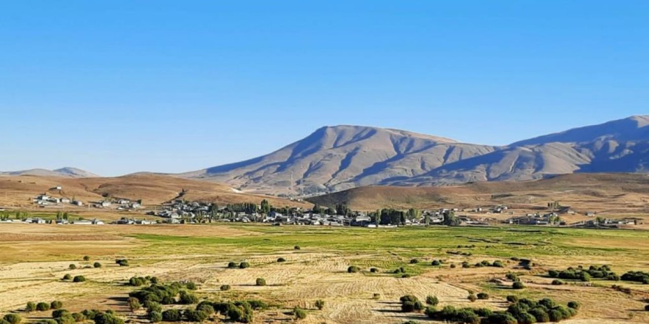 Baraj suyunun çekildiği alanda söğütler boy verdi