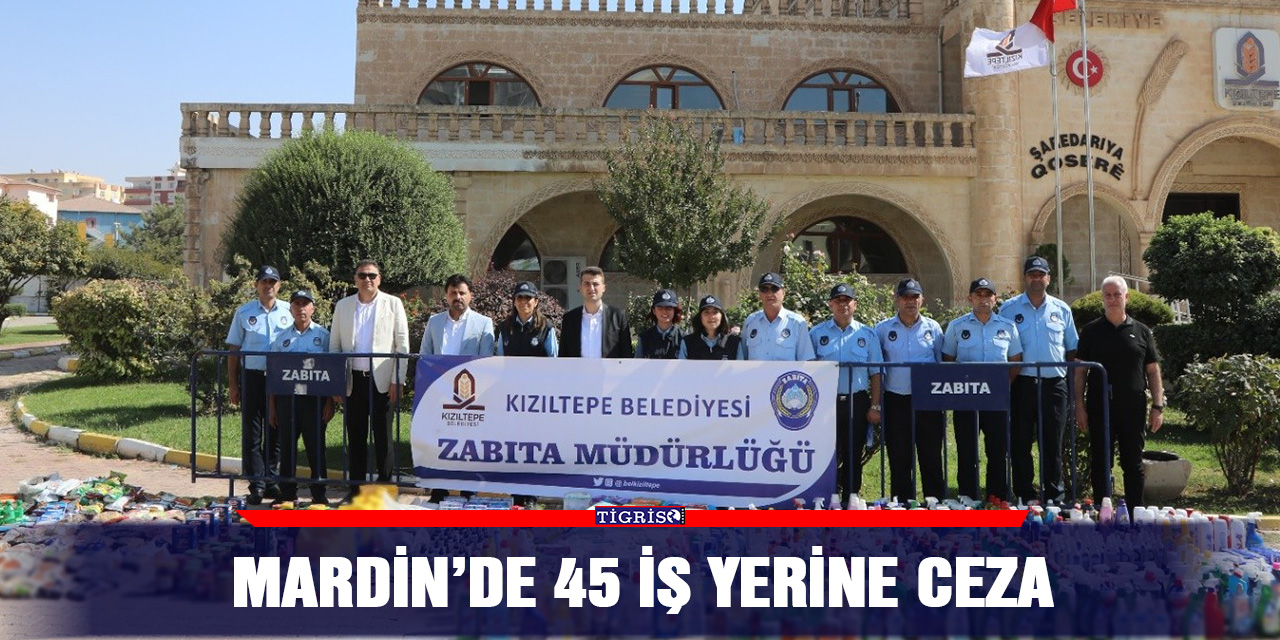 Mardin’de 45 iş yerine ceza
