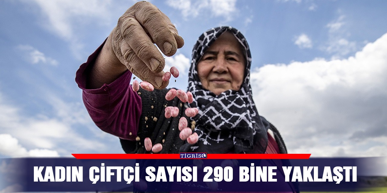 Kadın çiftçi sayısı 290 bine yaklaştı