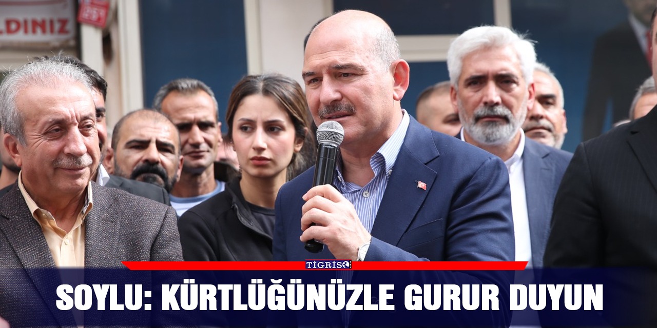 Soylu: Kürtlüğünüzle gurur duyun