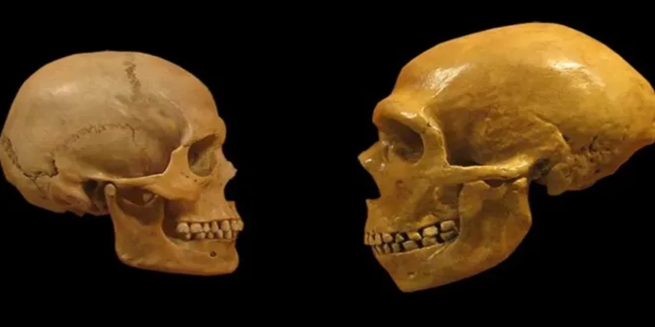 Akraba evliliği Neandertallerin sonunu getirmiş