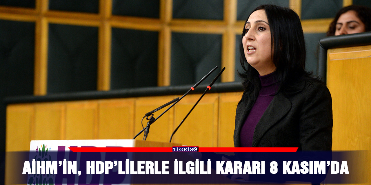 AİHM’in, HDP’lilerle ilgili kararı 8 Kasım’da