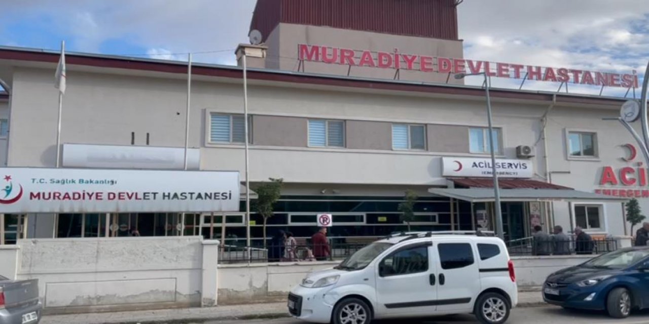 Tandıra düşen kadın hayatını kaybetti