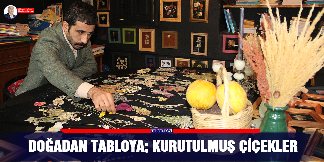 VİDEO-Doğadan tabloya: Kurutulmuş çiçekler