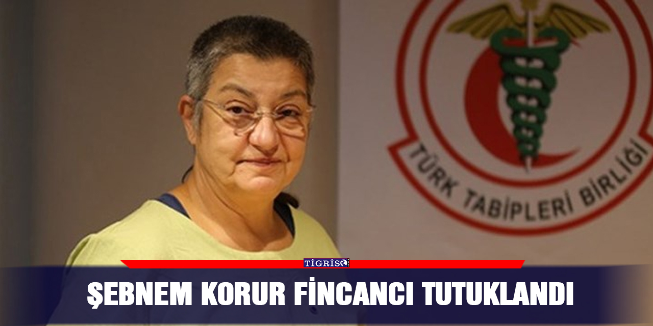 Şebnem Korur-Fincancı tutuklandı