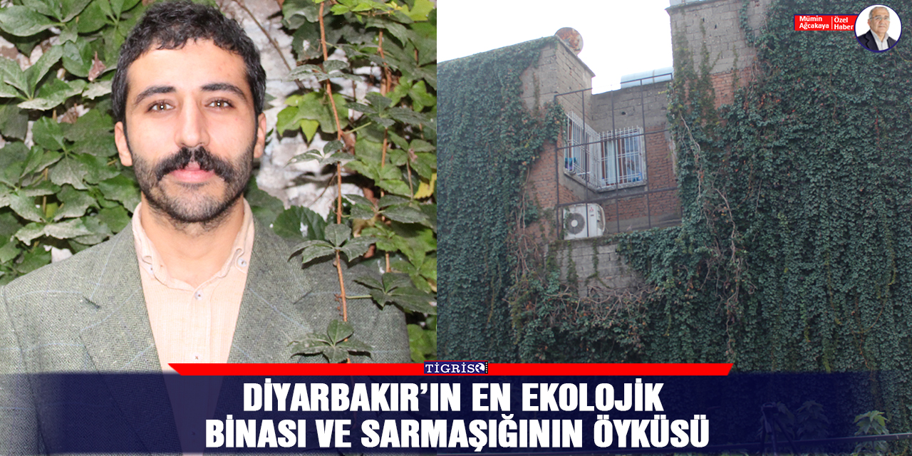 VİDEO-Diyarbakır’ın en ekolojik binası ve sarmaşığının öyküsü