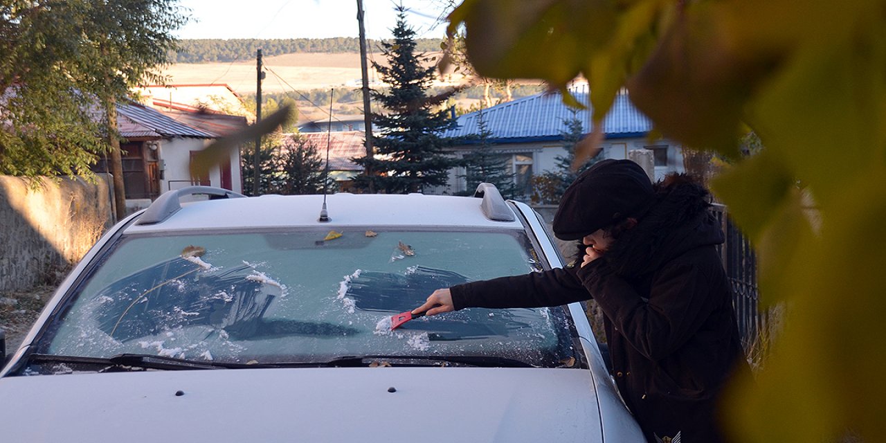 Sarıkamış'ta şelaleler, bitkiler ve camlar dondu