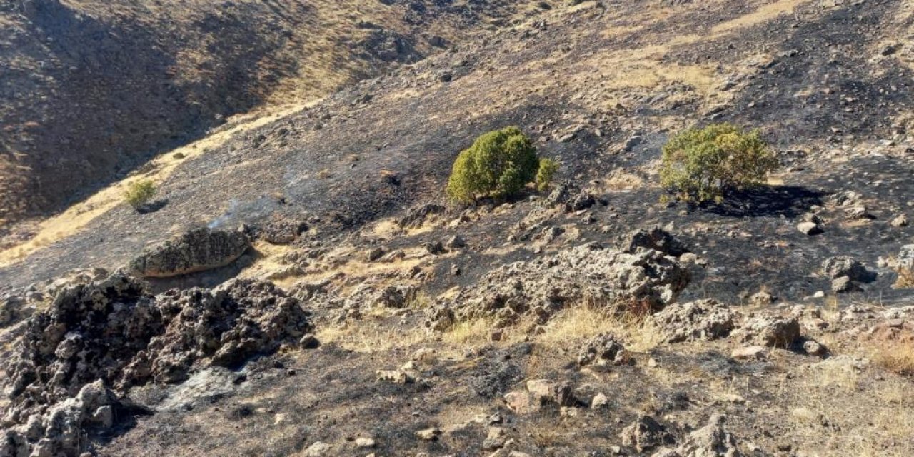 Dersim’de kırsal alanda çıkan yangın söndürüldü