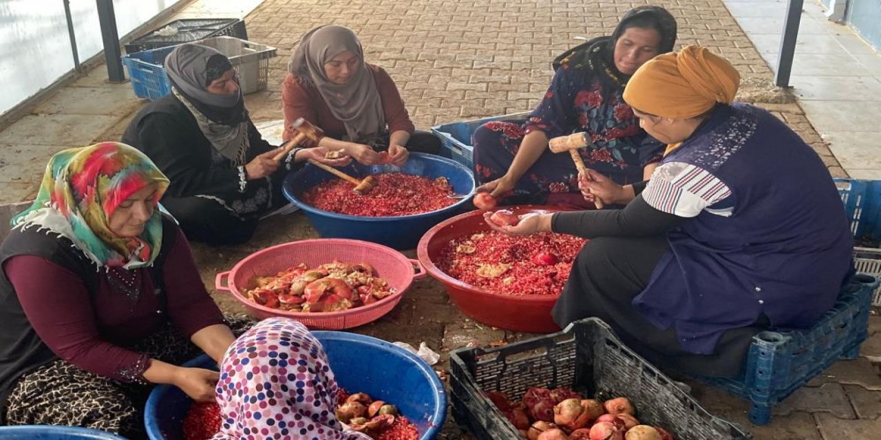 Kadınların nar ekşisi mesaisi başladı