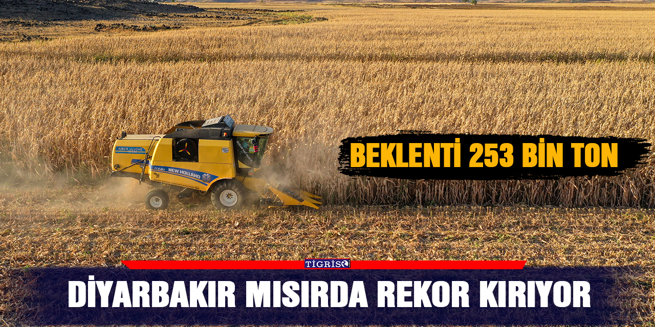 Diyarbakır Mısırda rekor kırıyor